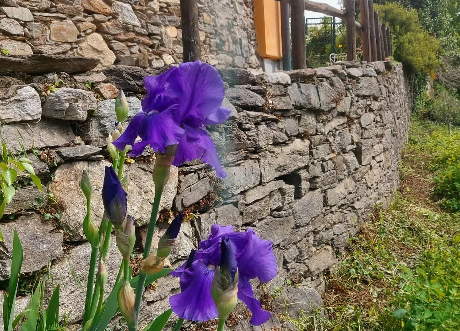La Nave B&B Monteggio Bed & Breakfast